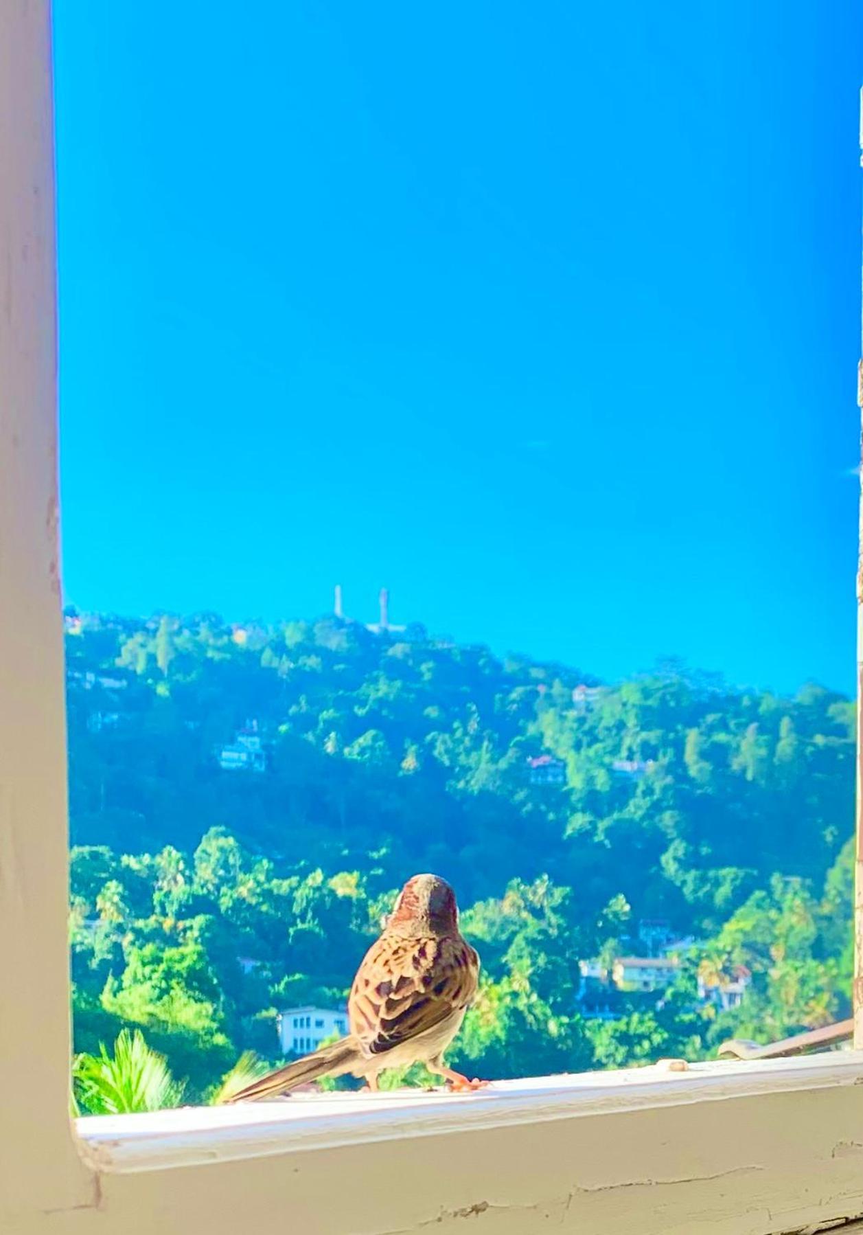 Gangula Villa แคนดี้ ภายนอก รูปภาพ
